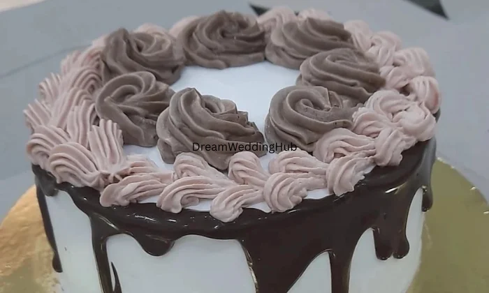 The Cake Fairy Arshiyaa jain